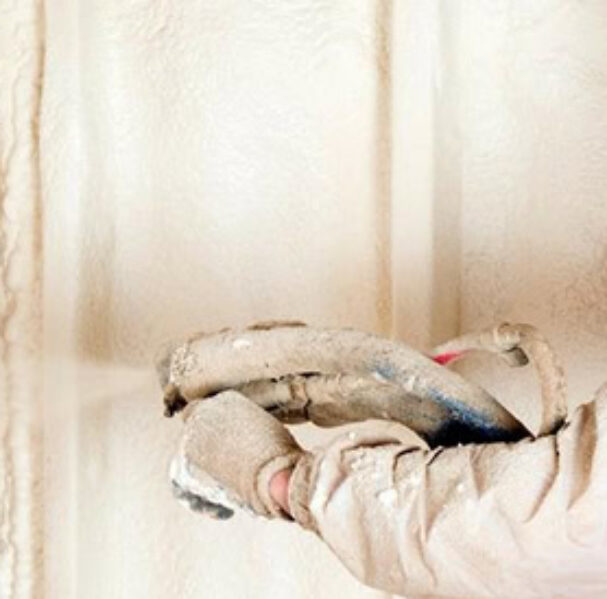 29964839_23842770843440160_1557088415470583808_n