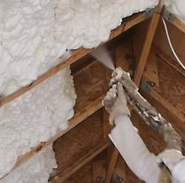 31214621_23842774840080160_5032966020323606528_n